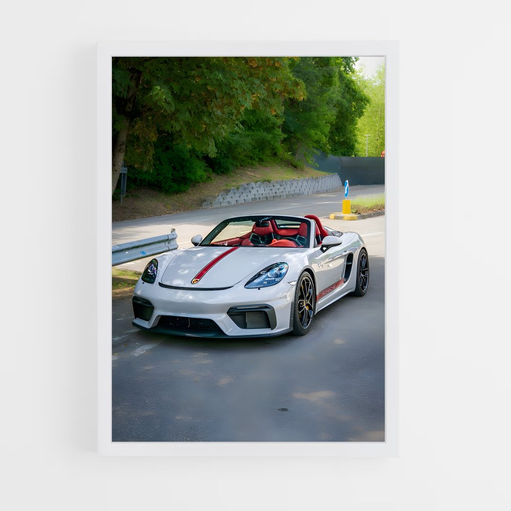 Poster araignée fascinante – affiche Porsche (vue 3)